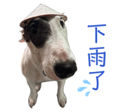 843498808