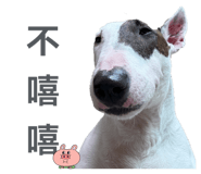 843498811