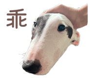 843498821
