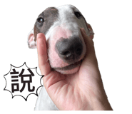 843498823