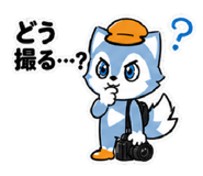 843499144