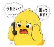 843501162