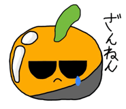 843501262