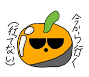 843501263