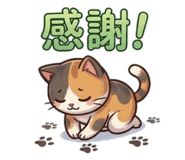 843502302