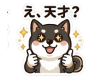 843503203