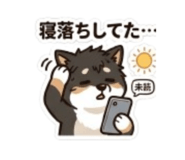843503204