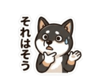 843503208