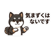 843503210