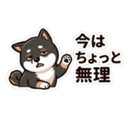 843503212