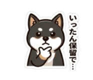 843503214