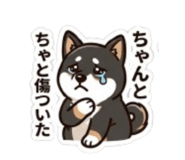 843503215