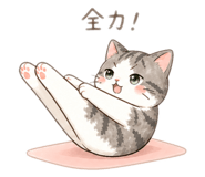 843503232