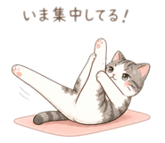 843503234
