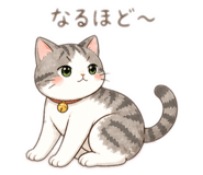 843503237