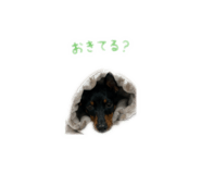 843503599