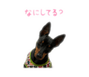 843503600
