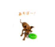 843503603
