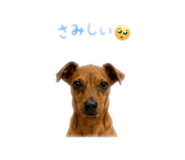 843503605