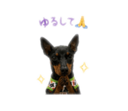 843503615