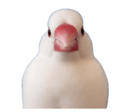 843503825