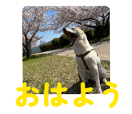 843504033