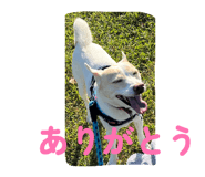 843504044
