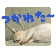 843504046