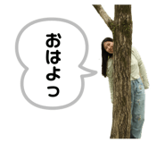 843504053
