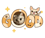843504129