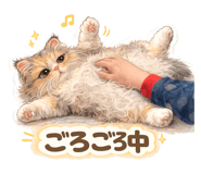 843504368