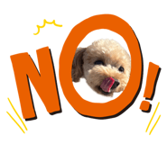 843504382