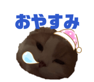 843504615