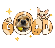 843504730