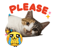 843504923