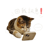 843504932