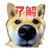 843505465