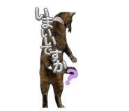 843505474