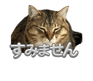 843505476