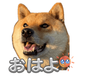 843505480