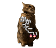 843505482