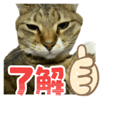 843505484