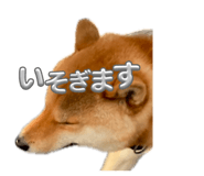 843505485