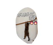 843505497