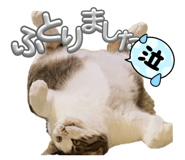 843505504