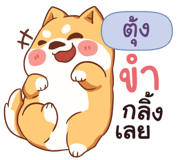 843506937