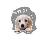 843508030