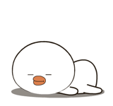 843511042