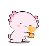 843511687