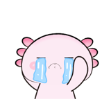 843511690